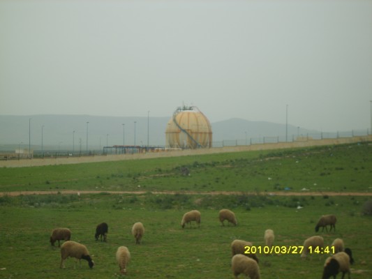 S8300025.JPG