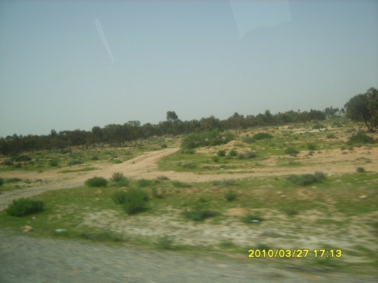 S8300086.JPG