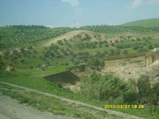 S8300102.JPG