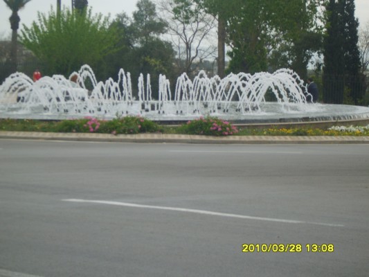 S8300400.JPG