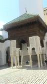 DSC02378.JPG
