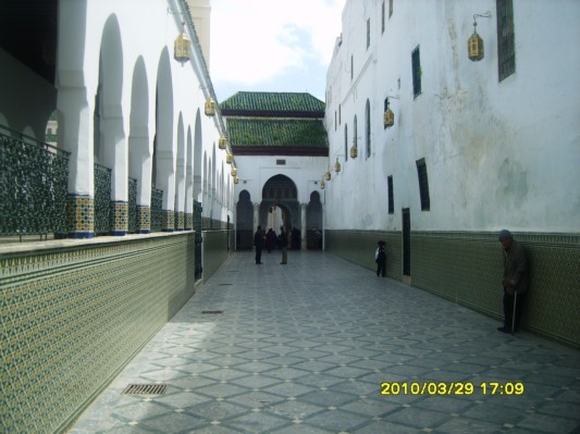 S8300704.JPG