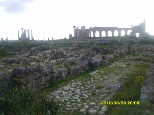 S8300771.JPG