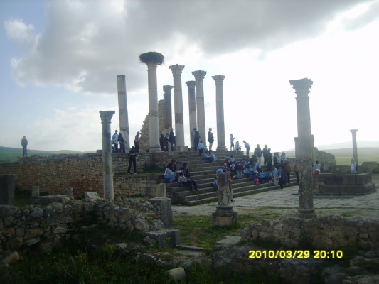 S8300773.JPG