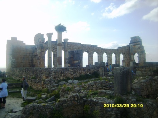 S8300774.JPG