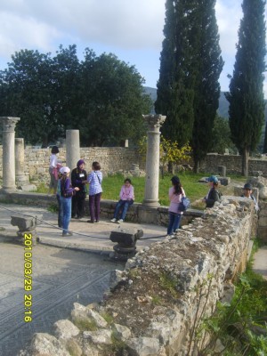 S8300778.JPG