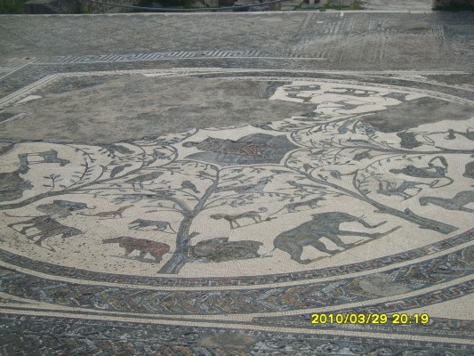 S8300782.JPG