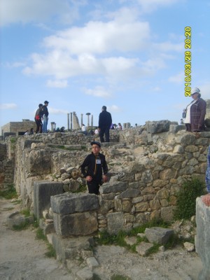 S8300785.JPG