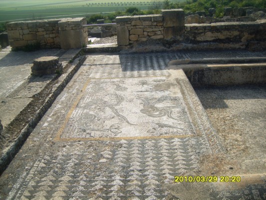 S8300790.JPG
