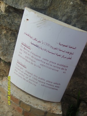 S8300803.JPG