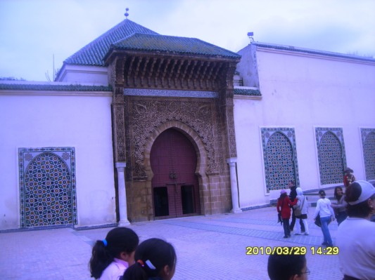 S8300653.JPG