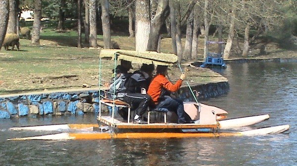DSC02670.JPG