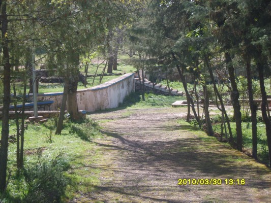 S8300822.JPG