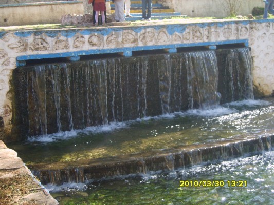 S8300825.JPG