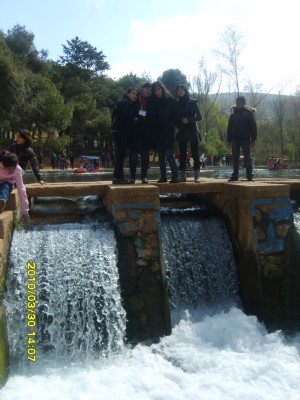 S8300837.JPG