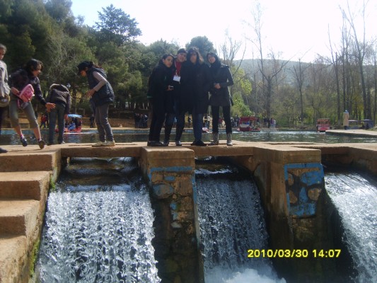 S8300838.JPG