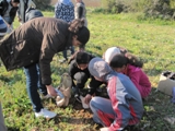 Photo 021
