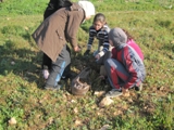 Photo 036